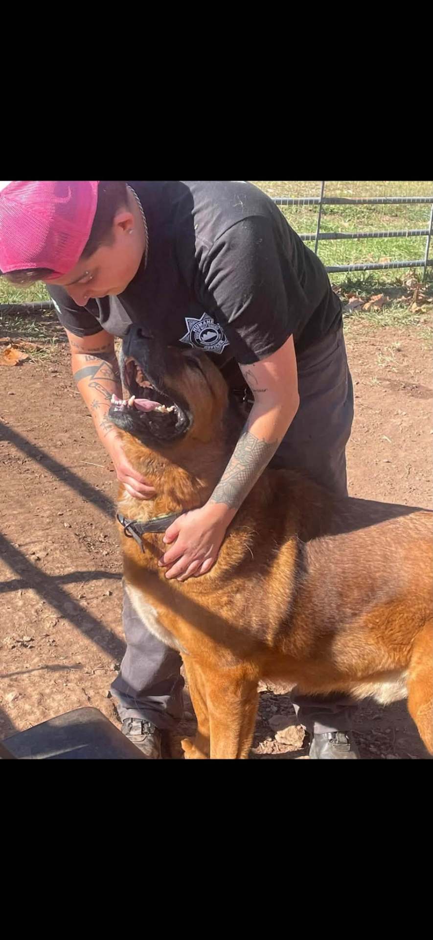 Beyond the Leash caregiver hugging a happy rescue dog